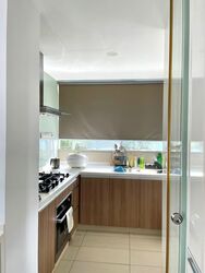 Floridian (D21), Condominium #566199371